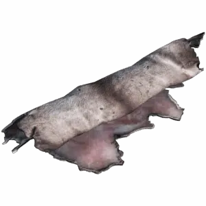 Reindeer Pelt
