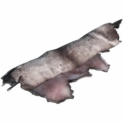 Reindeer Pelt