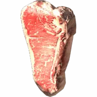 Reindeer Steak
