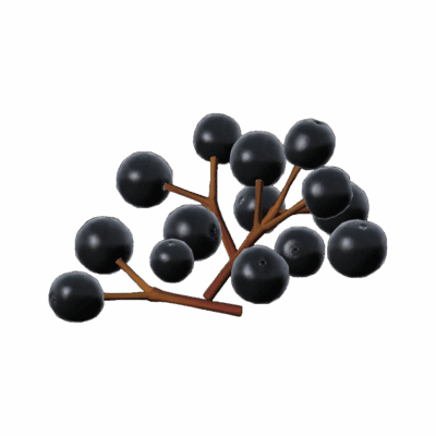 Elderberries