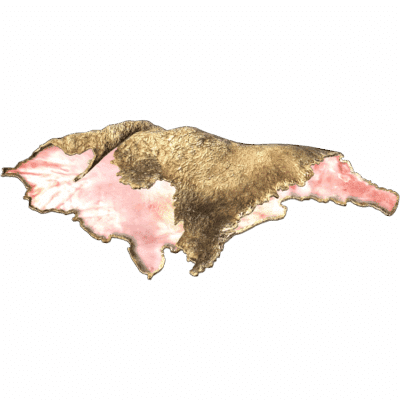 Sheep Pelt