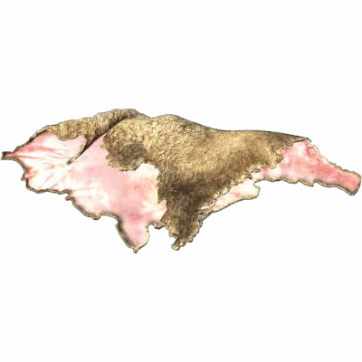 Sheep Pelt
