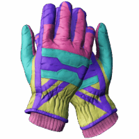 Ski Gloves