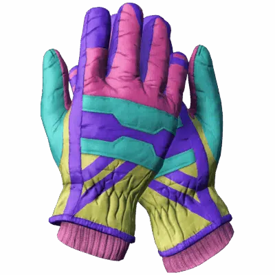 Ski Gloves