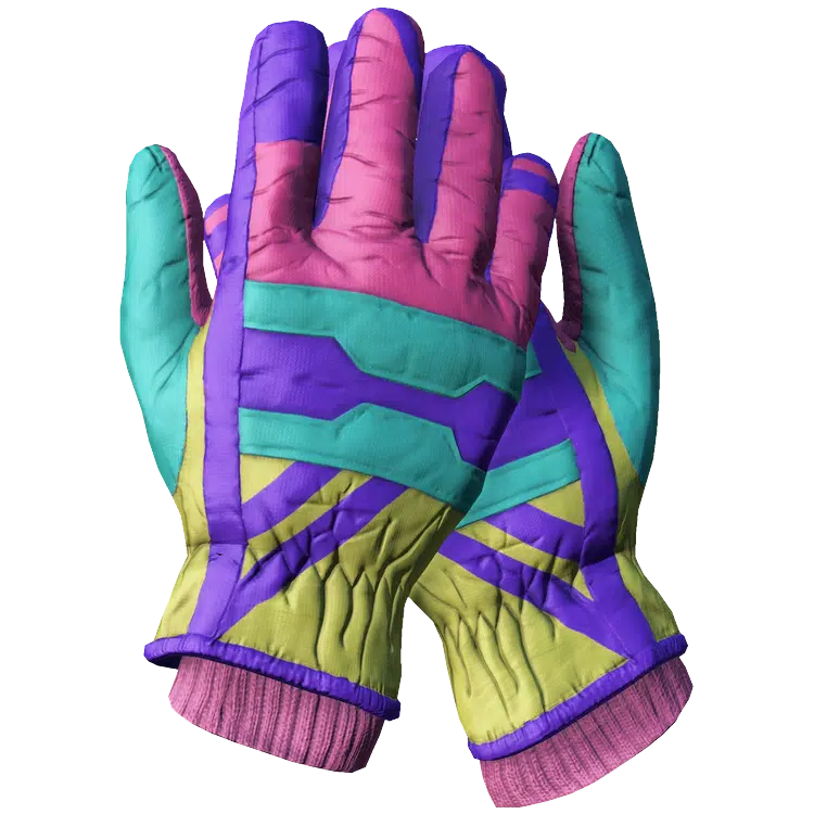 Ski Gloves