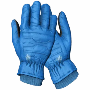 SkiGloves Blue