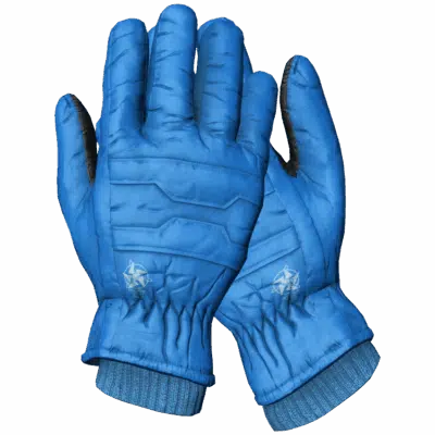 Ski Gloves - Image 2