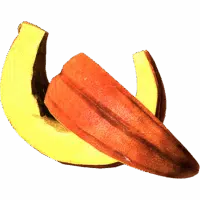 Pumpkin Slices