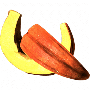 SlicedPumpkin