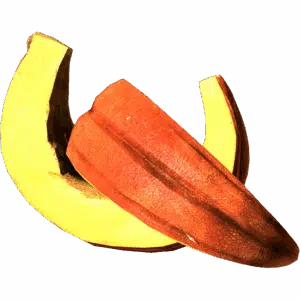 SlicedPumpkin