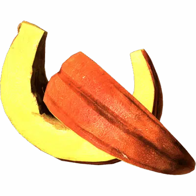 Pumpkin Slices