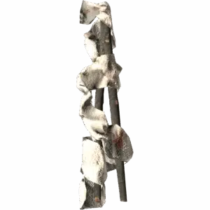 Splint