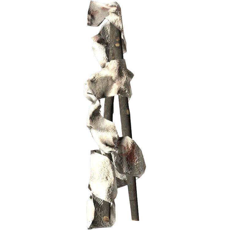 Splint