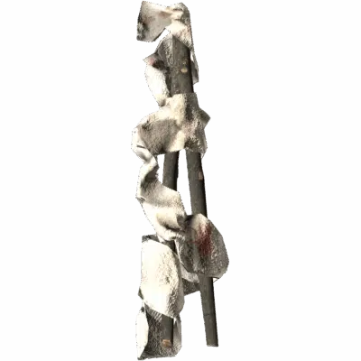 Splint