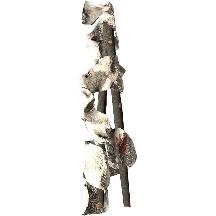 Splint