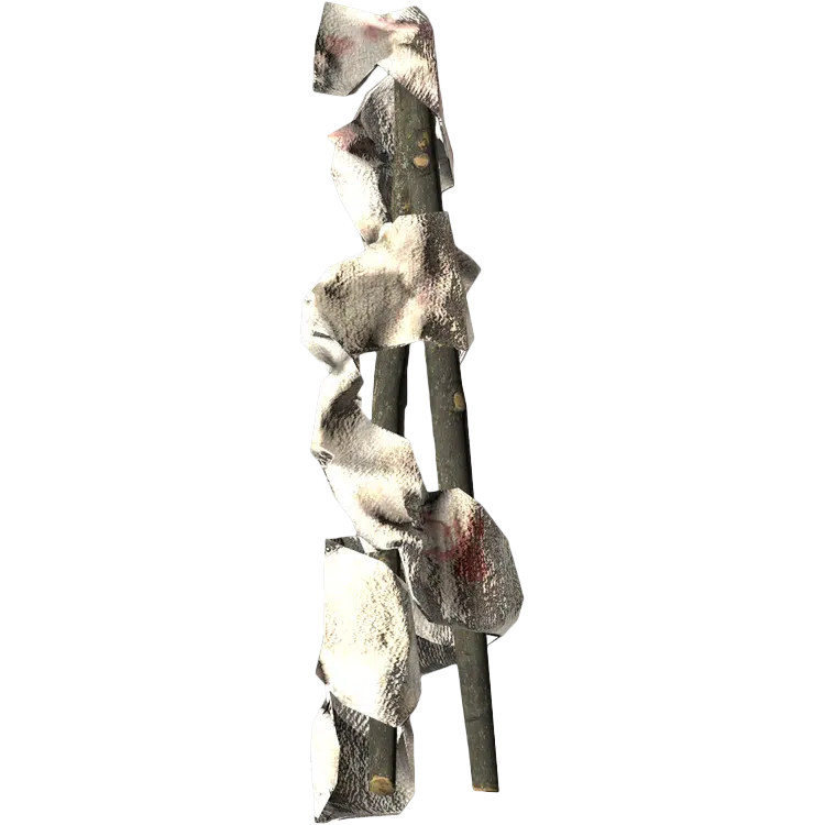 Splint