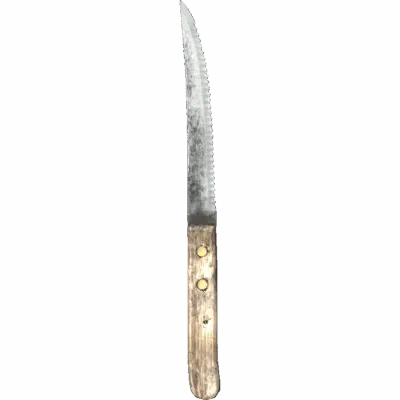 Steak Knife