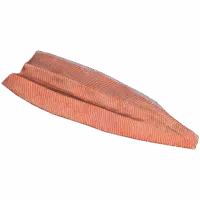 Steelhead Trout Fillet