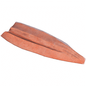 SteelheadTroutFilletMeat
