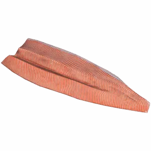 SteelheadTroutFilletMeat