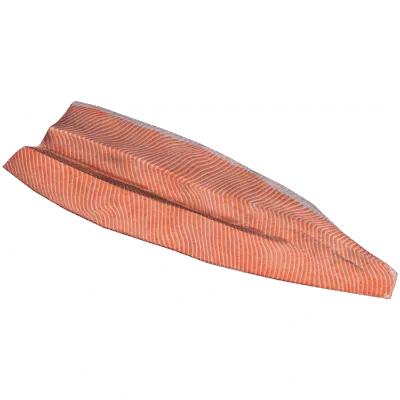 Steelhead Trout Fillet