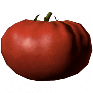 Tomato