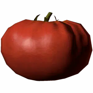 Tomato