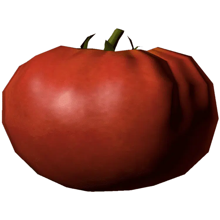 Tomato