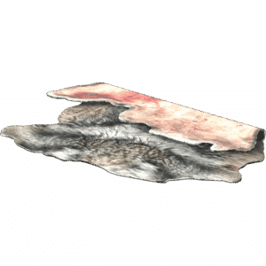 Wolf Pelt
