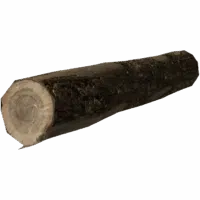 Wooden Log