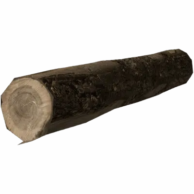 Wooden Log