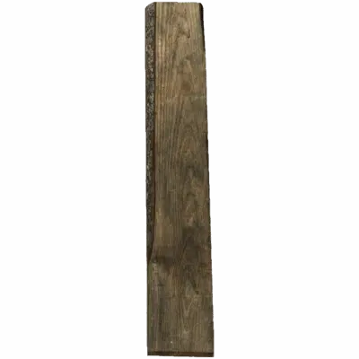 Plank