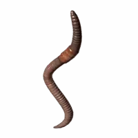 Earthworm