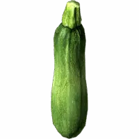 Zucchini
