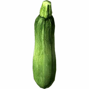 Zucchini