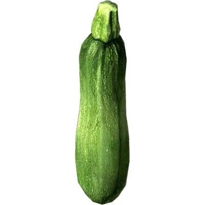Zucchini