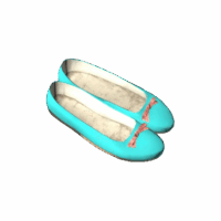Flat Shoes