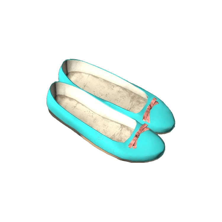Flat Shoes