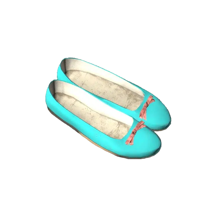 Flat Shoes
