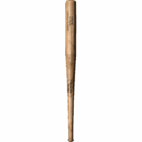Baseball Bat