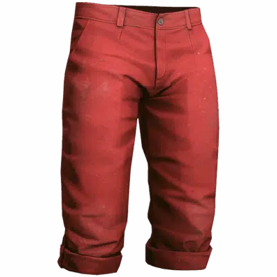 Capri Pants - Image 3