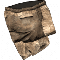 Hiking Pants