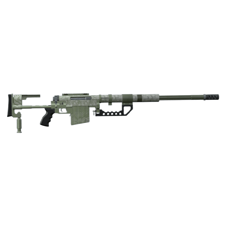 Cheytac M200 Intervention
