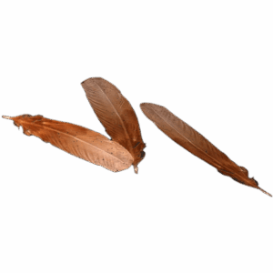 ChickenFeather