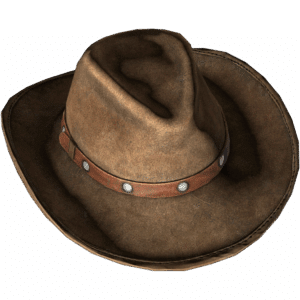 Cowboy Hat