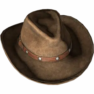 Cowboy Hat