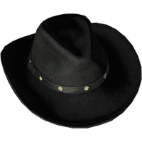 Cowboy Hat