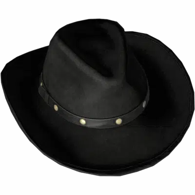 Cowboy Hat