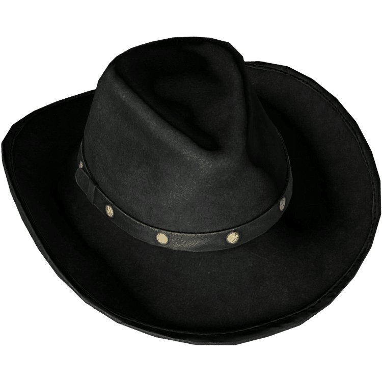 Cowboy Hat