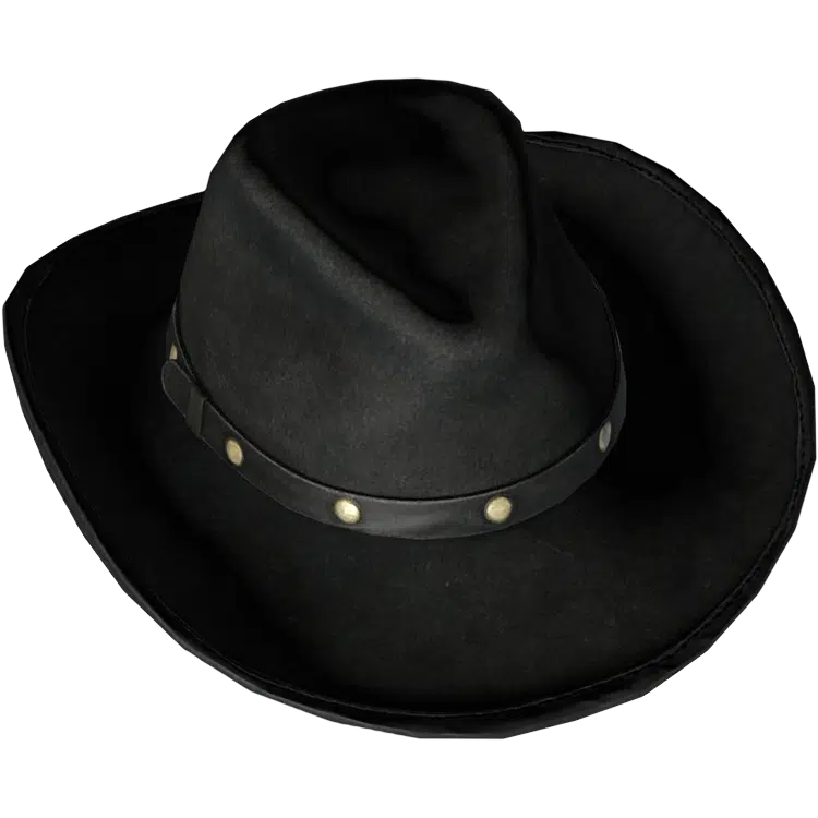 Cowboy Hat